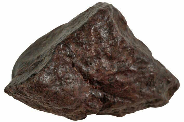 Chondrite Meteorite ( g) - Western Sahara Desert #224479